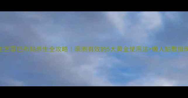 图片 主艺霏巴布贴养生全攻略｜亲测有效的5大黄金使用法+懒人贴敷指南