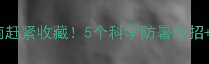 图片 狗狗夏季养生指南赶紧收藏！5个科学防暑妙招+中暑急救全攻略1