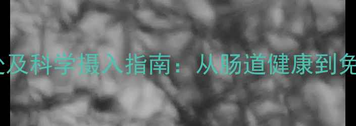 图片 益生菌对婴儿的益处及科学摄入指南：从肠道健康到免疫力提升的全方位1