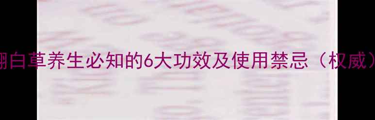 图片 翻白草养生必知的6大功效及使用禁忌（权威）