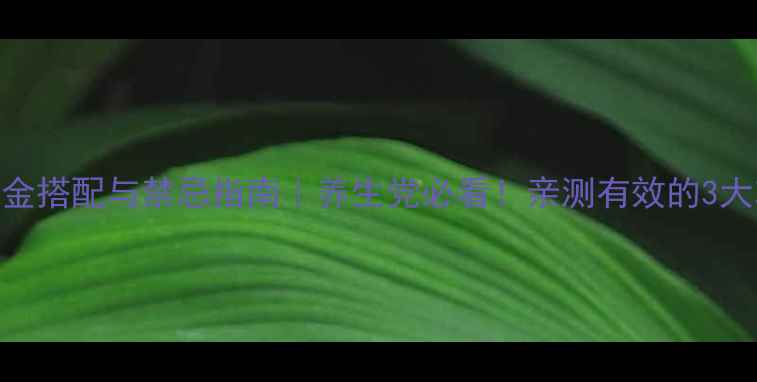 图片 🌟黄芪泡水喝的黄金搭配与禁忌指南｜养生党必看！亲测有效的3大功效+4大避坑点🌿