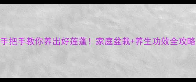 图片 🌸手把手教你养出好莲蓬！家庭盆栽+养生功效全攻略🌸