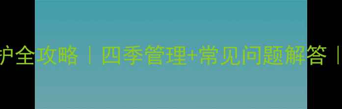 图片 🌿小叶赤楠家庭养护全攻略｜四季管理+常见问题解答｜新手必看绿植推荐