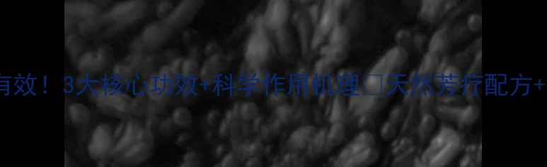 图片 🌿杜松精油亲测有效！3大核心功效+科学作用机理💡天然芳疗配方+使用禁忌全攻略1