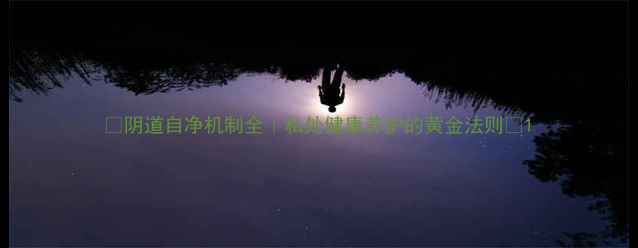图片 🌿阴道自净机制全｜私处健康养护的黄金法则💡1