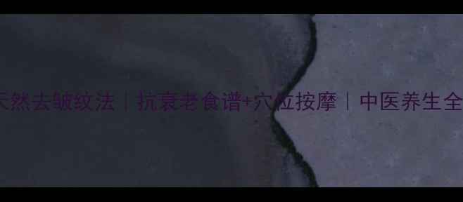 28天天然去皱纹法抗衰老食谱穴位按摩中医养生全攻略