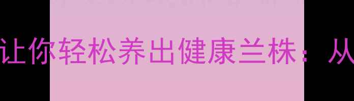 5种兰花养生繁殖技巧让你轻松养出健康兰株从水培到分株的完整指南