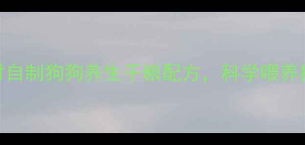 5种天然食材自制狗狗养生干粮配方科学喂养提升免疫力