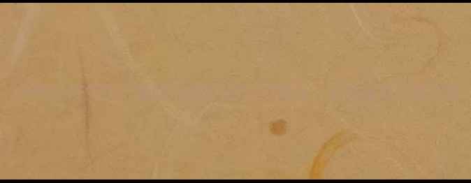 图片 7天喝出好气色！蛋醋液养生秘方+功效全｜天然美容液这样做