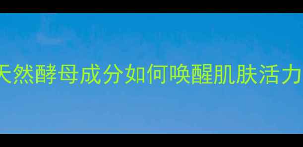 TST活酵母护肤秘籍天然酵母成分如何唤醒肌肤活力亲测有效的养颜指南