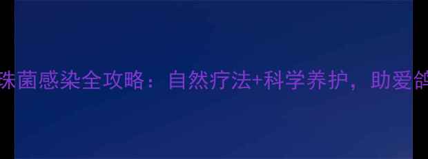 图片 pigeon念珠菌感染全攻略：自然疗法+科学养护，助爱鸽健康焕新
