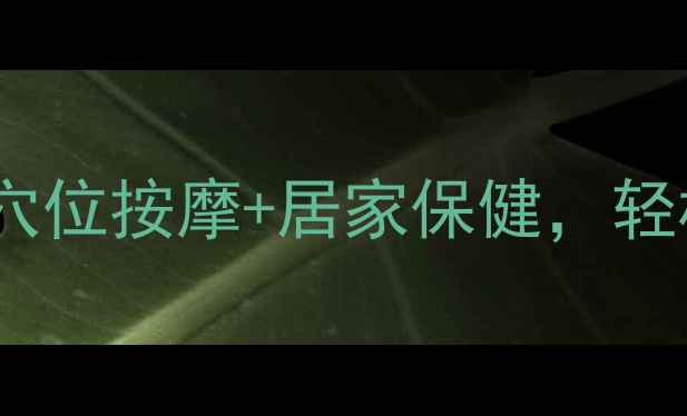 中医养生布偶穴位按摩居家保健轻松打造健康生活