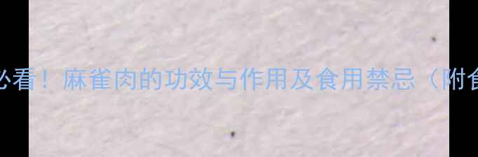 养生必看麻雀肉的功效与作用及食用禁忌附食谱