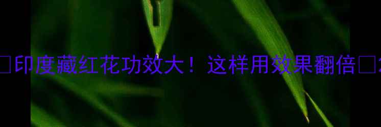 印度藏红花功效大这样用效果翻倍
