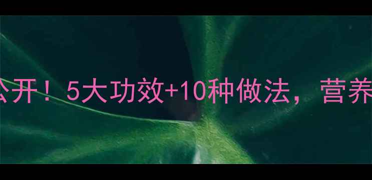 杏鲍菇养生密码大公开5大功效10种做法营养师私藏食谱全分享