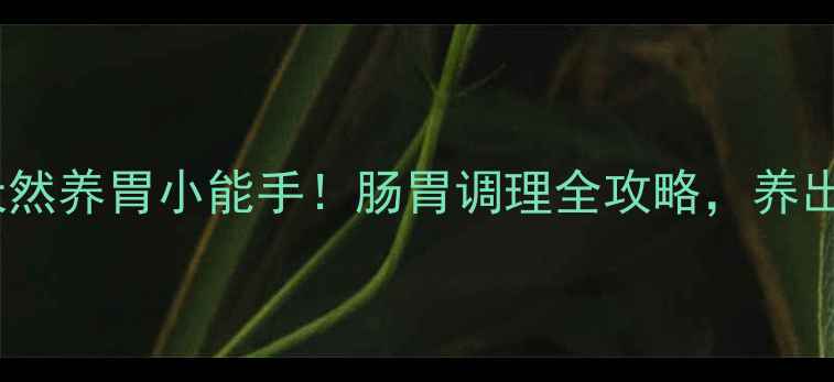 果胶铋天然养胃小能手肠胃调理全攻略养出健康肠道