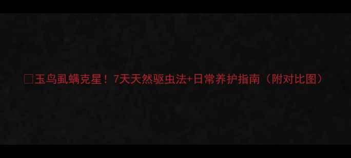 玉鸟虱螨克星7天天然驱虫法日常养护指南附对比图