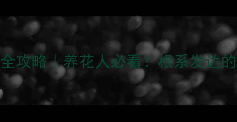 图片 ✨生根液使用全攻略｜养花人必看！根系发达的秘诀在这里🌱