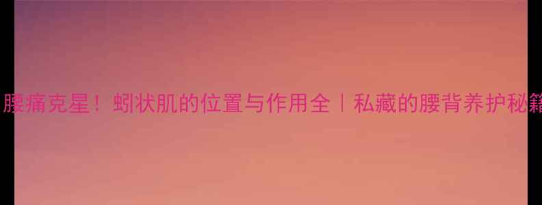 腰痛克星蚓状肌的位置与作用全私藏的腰背养护秘籍