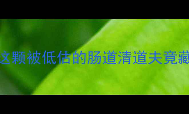 图片 ✨舟皮养生全攻略｜这颗被低估的肠道清道夫竟藏着降糖抗衰秘籍！🌿