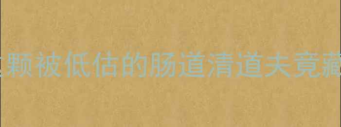 舟皮养生全攻略这颗被低估的肠道清道夫竟藏着降糖抗衰秘籍
