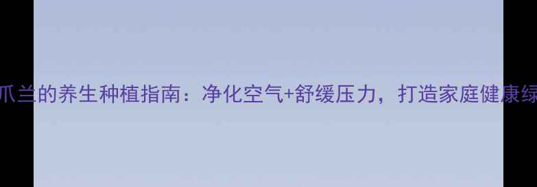 蟹爪兰的养生种植指南净化空气舒缓压力打造家庭健康绿洲