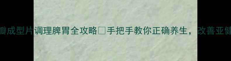 豆瓣成型片调理脾胃全攻略手把手教你正确养生改善亚健康