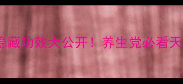 金丝蜜枣的隐藏功效大公开养生党必看天然滋补指南