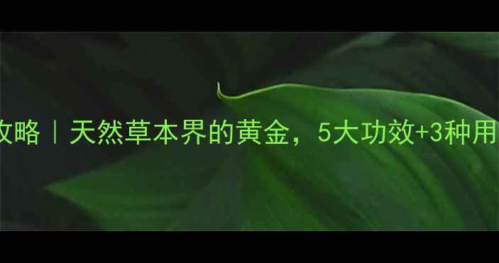 图片 ✨金草养生全攻略｜天然草本界的黄金，5大功效+3种用法亲测有效！1