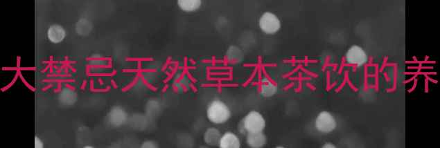 赤五加茶5大功效3大禁忌天然草本茶饮的养生密码喝出好气色