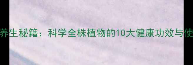 一叶草养生秘籍科学全株植物的10大健康功效与使用指南