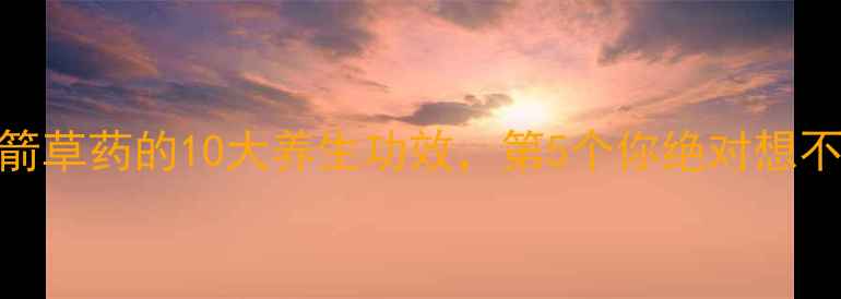 一枝箭草药的10大养生功效第5个你绝对想不到