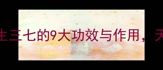 三七养生必看生三七的9大功效与作用天然草本守护健康
