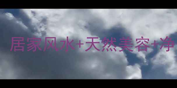 三叶铜钱草水培养殖全攻略居家风水天然美容净化空气一株搞定健康生活