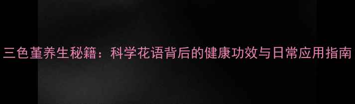 三色堇养生秘籍科学花语背后的健康功效与日常应用指南