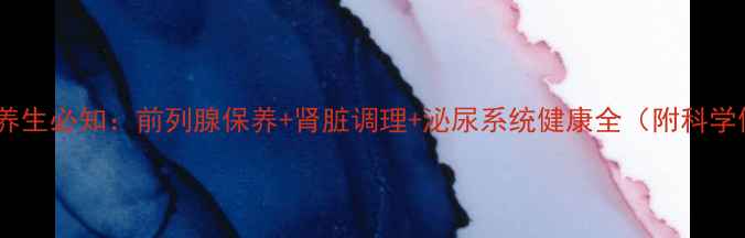 三金片男性养生必知前列腺保养肾脏调理泌尿系统健康全附科学使用指南