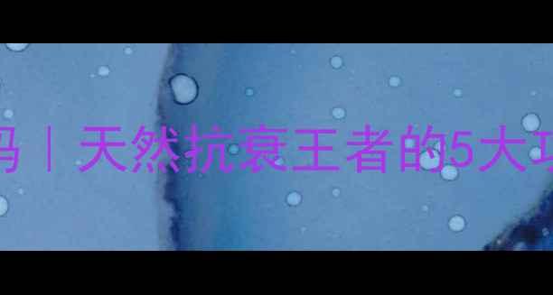 东方云芝的养生密码天然抗衰王者的5大功效科学搭配指南