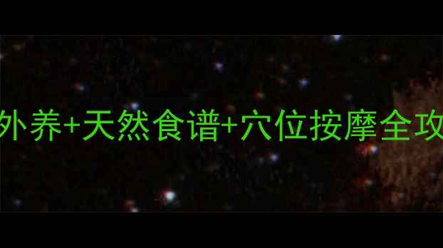 中医养生去晒斑内调外养天然食谱穴位按摩全攻略附28天褪斑计划