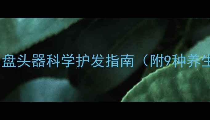 中医养生必备盘头器科学护发指南附9种养生梳具使用全