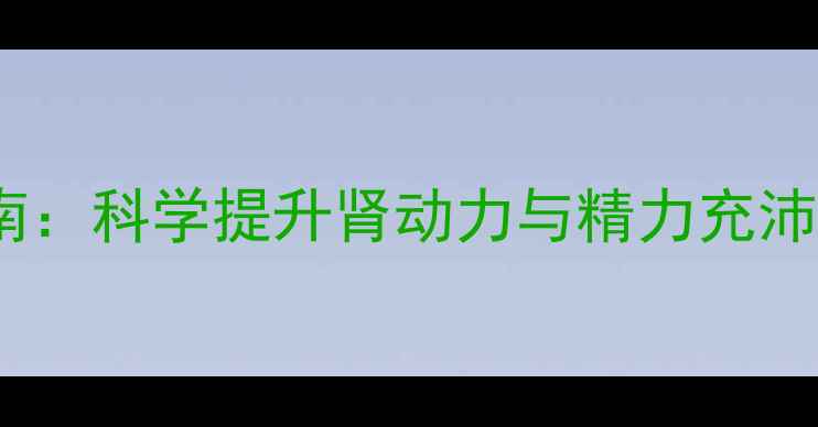 中医养生指南科学提升肾动力与精力充沛的五大方法