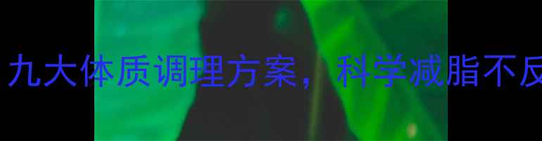 图片 中医养生瘦身：九大体质调理方案，科学减脂不反弹的健康法则2