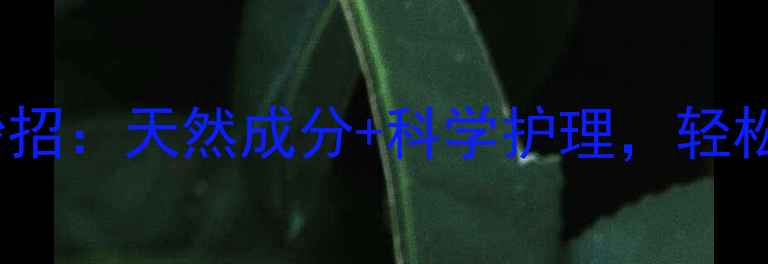 图片 中医养生祛斑妙招：天然成分+科学护理，轻松淡化面部色斑2