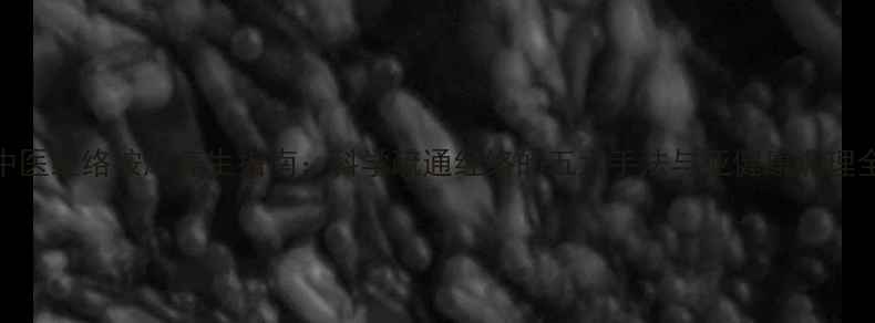 图片 中医经络按摩养生指南：科学疏通经络的五大手法与亚健康调理全