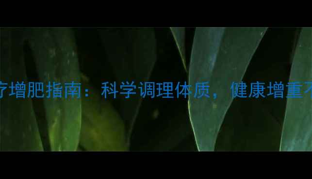 图片 中医食疗增肥指南：科学调理体质，健康增重不反弹✨