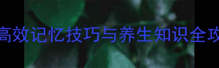 图片 中草药速记方法：高效记忆技巧与养生知识全攻略（附记忆口诀）