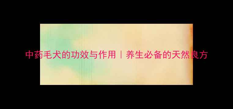 中药毛犬的功效与作用养生必备的天然良方
