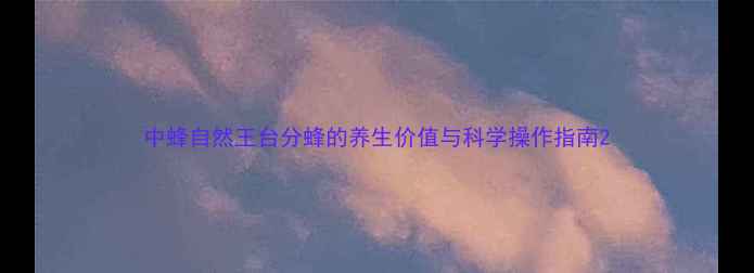 中蜂自然王台分蜂的养生价值与科学操作指南