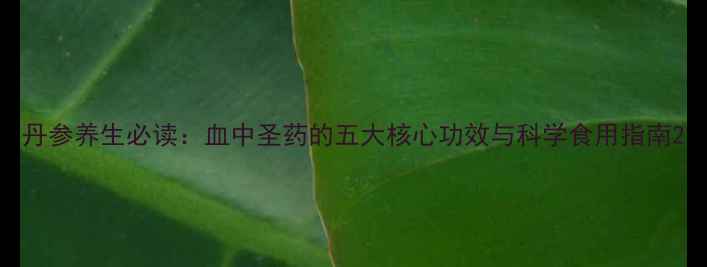 图片 丹参养生必读：血中圣药的五大核心功效与科学食用指南2