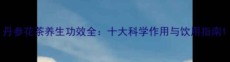 丹参花茶养生功效全十大科学作用与饮用指南
