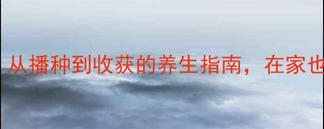 图片 云豆种植全攻略：从播种到收获的养生指南，在家也能种出健康餐桌1